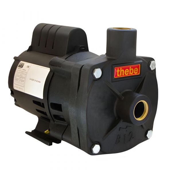 Motobomba 1/3 CV B12P 220V Magnum Thebe