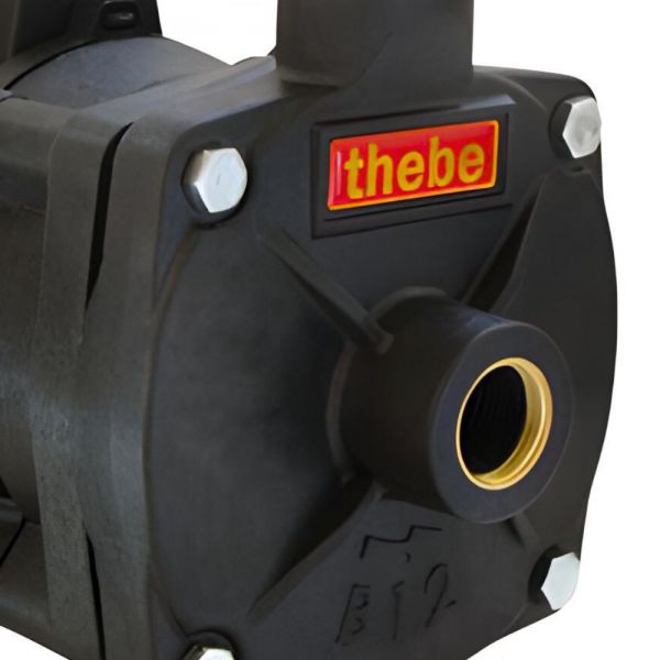 Motobomba 1/3 CV B12P 220V Magnum Thebe