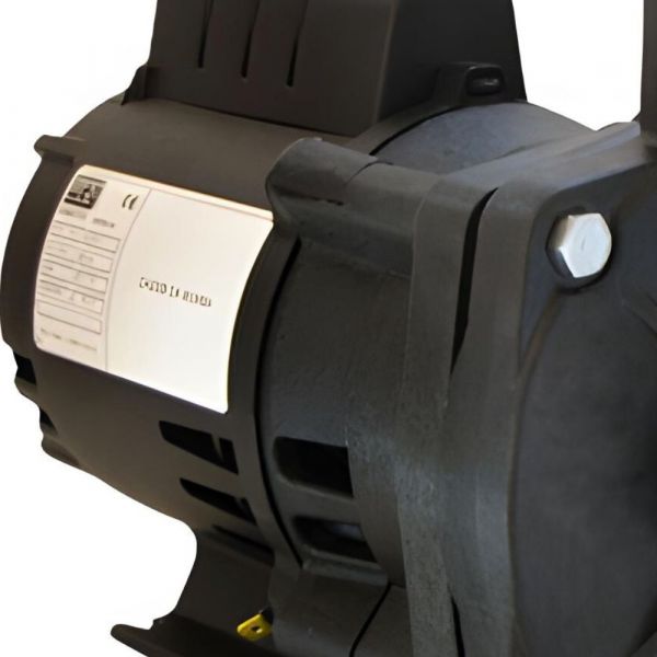 Motobomba 1/3 CV B12P 220V Magnum Thebe