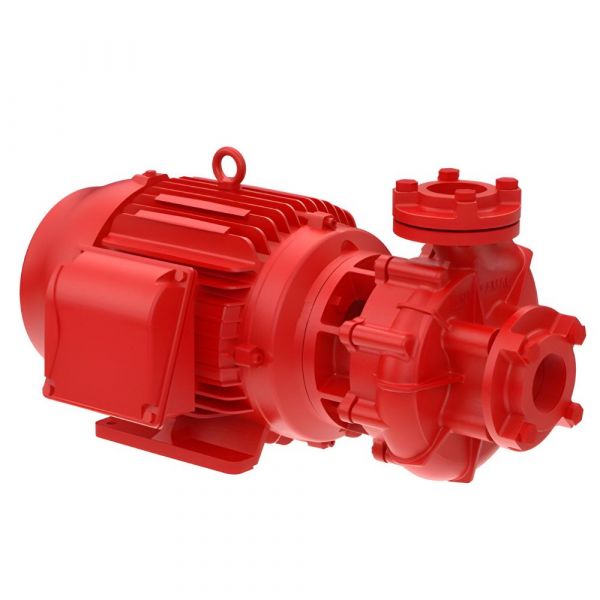 Motobomba 5,0CV 380V Trifásica FNI-21 R147mm Famac