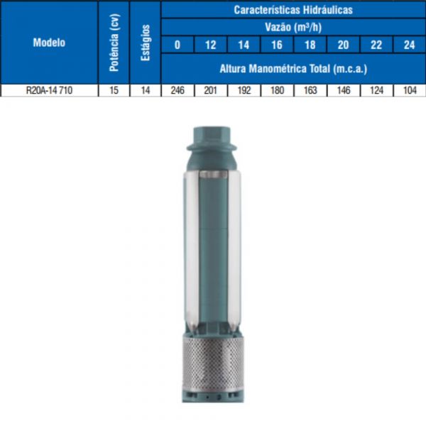 Bombeador 15cv R20-A-14 Leão