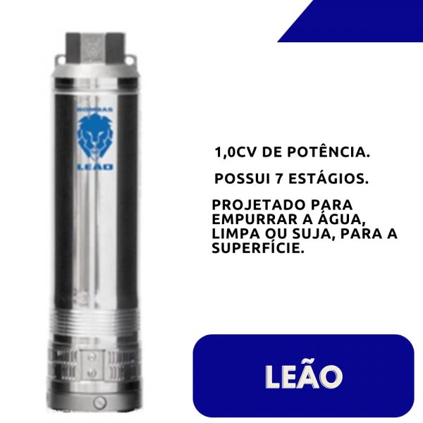 Bombeador 4R5IA-07 1,0cv Leão