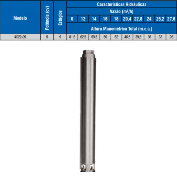 Bombeador 5CV 4S22-09 Leão