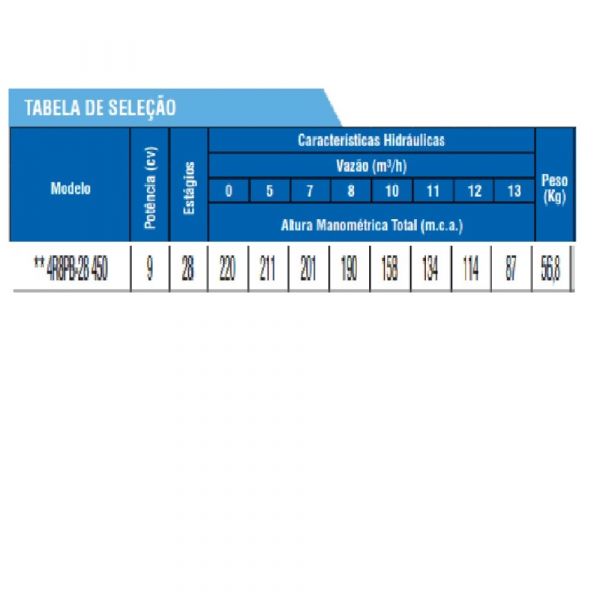 Bombeador 9cv 4R8PB-28 Leão