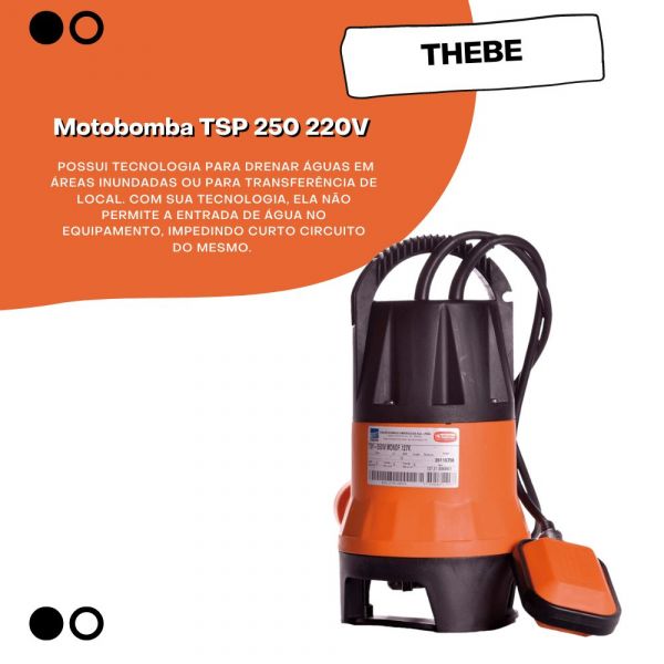 Motobomba TSP 250 220V Monofásico Thebe