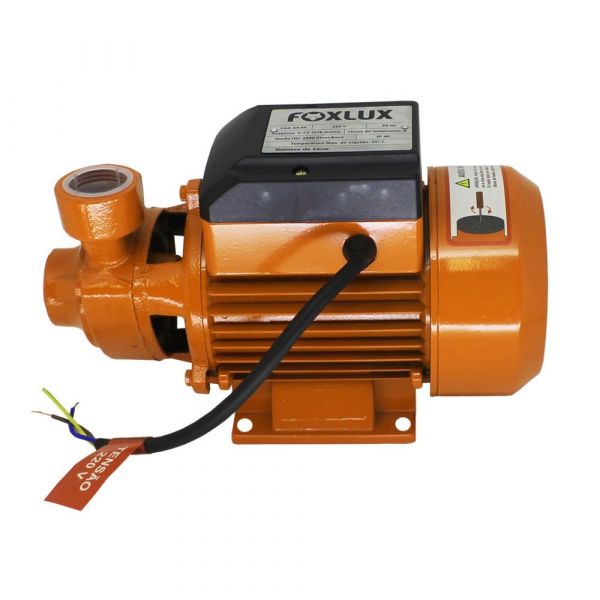 Motobomba Periférica 1CV Bivolt Foxlux