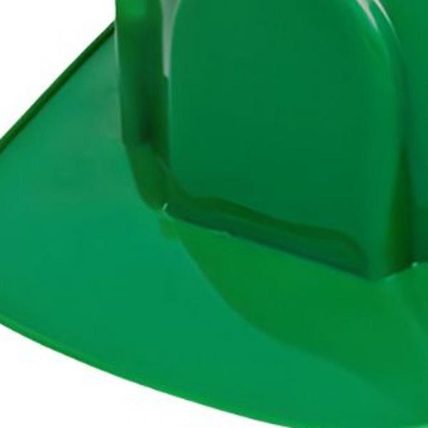 Capacete Com Carneira Verde Wps0874 Pro Safety WPS0874