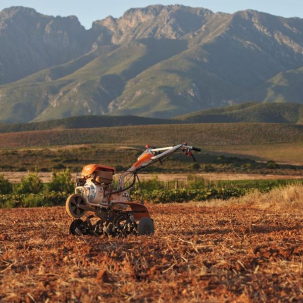 Motocultivador MH 710 7HP à Gasolina Stihl