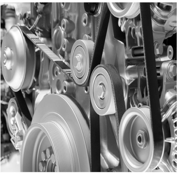 Correia Automotiva 6PK1920 Sama