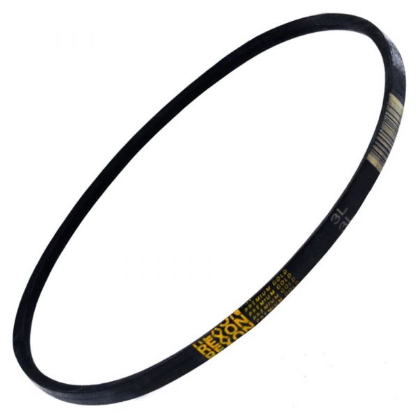 Correia Para Tanquinho 3L0300 Rexon