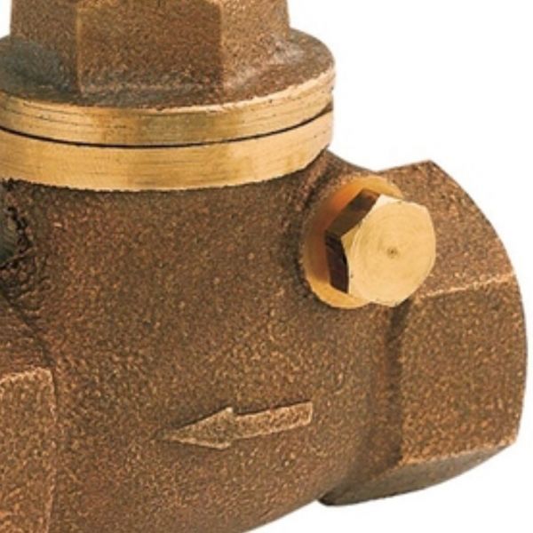 Válvula De Retenção Horizontal DN80 3” Docol