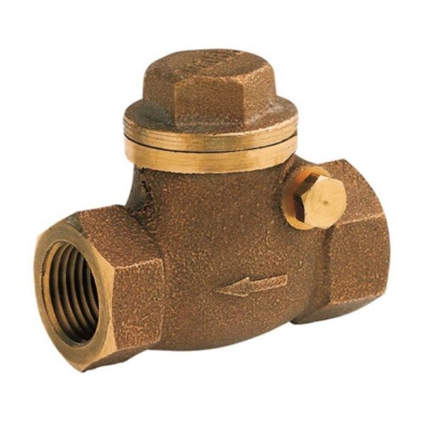 Válvula De Retenção Horizontal DN80 3” Docol