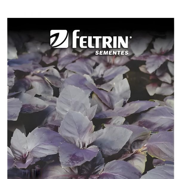 Semente de Ervas de Manjericão Roxo 100Mg Feltrin