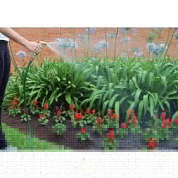 Esguicho Metálico para Engate Rápido Tramontina