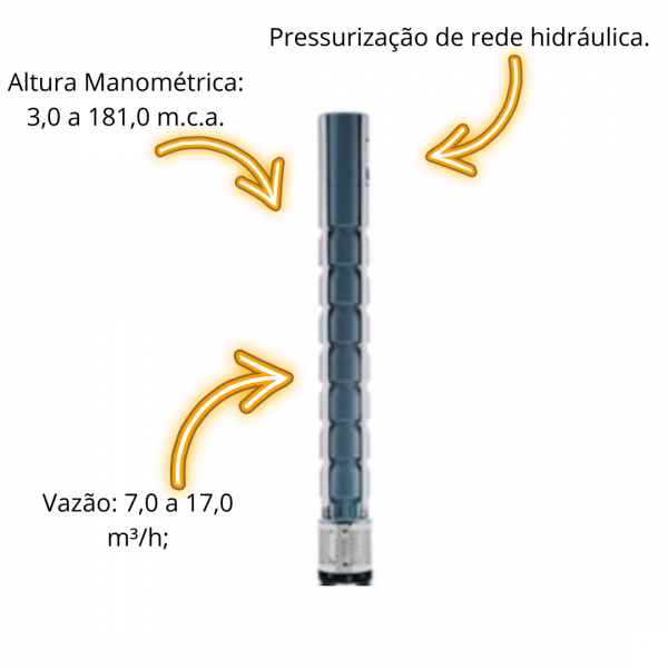 Bombeador 10cv 4SD-26 Leão