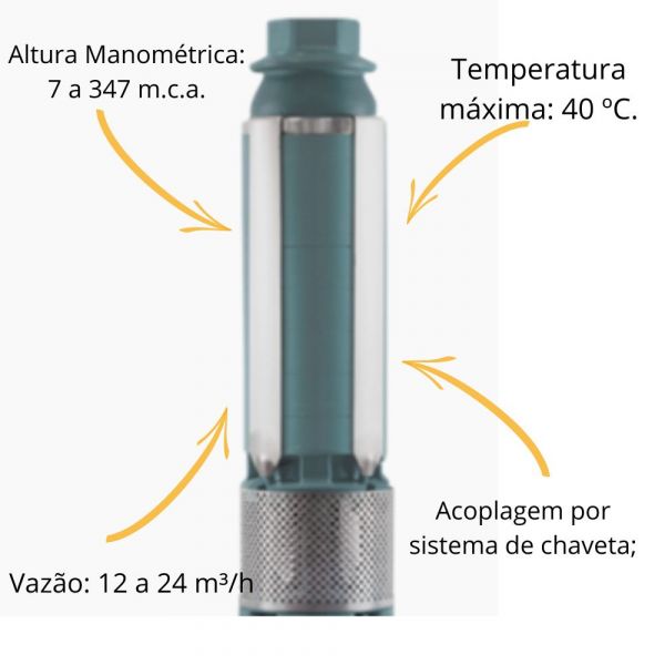 Bombeador 20cv R20A-20 Leão