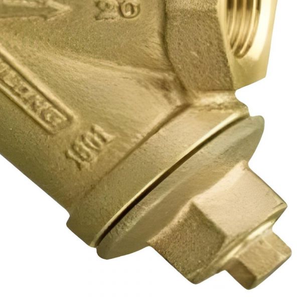 Filtro Y Com Dreno 2