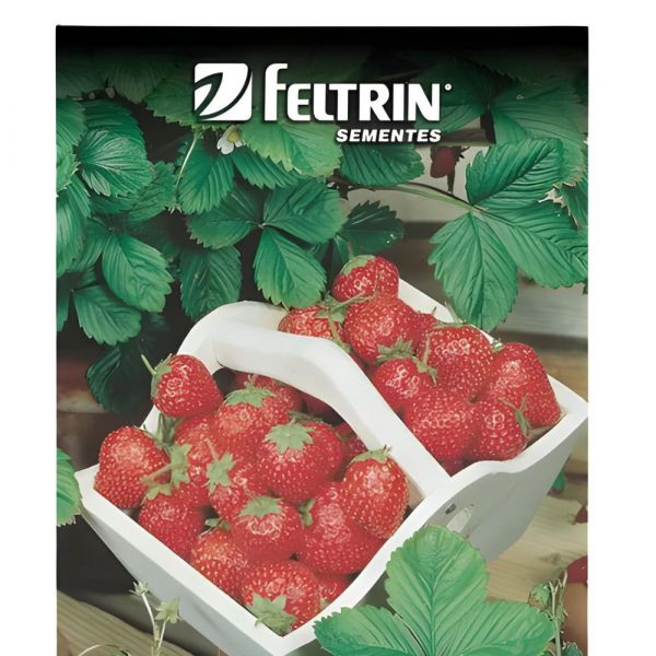 Semente de Flor de Morango Ornamental 50Mg Feltrin
