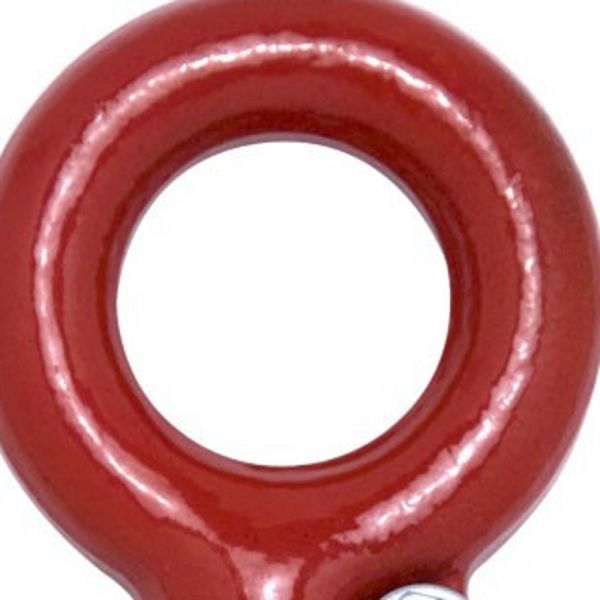 Gancho Olhal com Trava 750 Kg Carbostorm