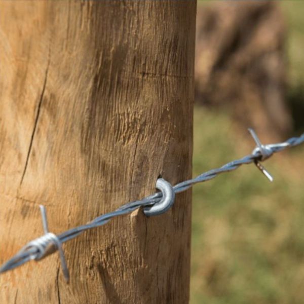 Grampo Galvanizado para Cerca 9x1” 1KG Belgo