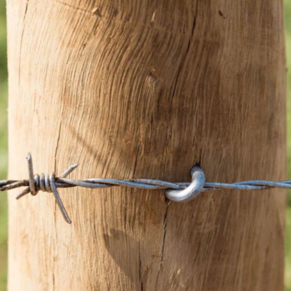 Grampo Galvanizado para Cerca 9x1” 1KG Belgo