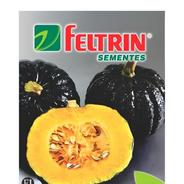 Semente de Hortaliça Abóbora Hiroko 550Mg Feltrin