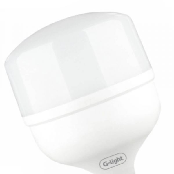 Lâmpada Led Bulbo 50W Autovolt E27 T120 G-Light