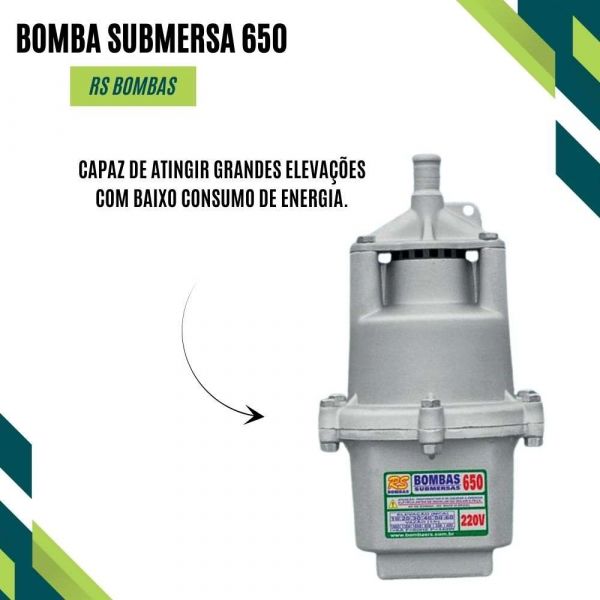 Bomba Submersa 650 RS Bombas