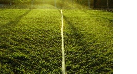 1 Metro Mangueira Nortenei II 100/15 Para Irrigação Santeno 