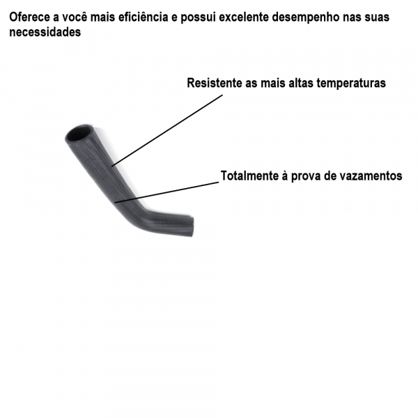 Mangueira Superior do Radiador D-11000 Jamaica