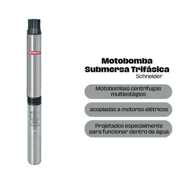 Motobomba Submersa Trifásica SUB25-10NY4E6 1,0CV 380V Schneider
