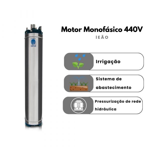 Motor Motobomba 2,5cv 440V Monofásica 370/2,5/44MO Sem Painel Leão