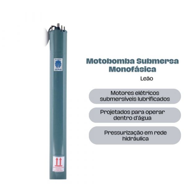 Motor Leão 4,0CV Sem Painel 440V Monofásico 350/004/44