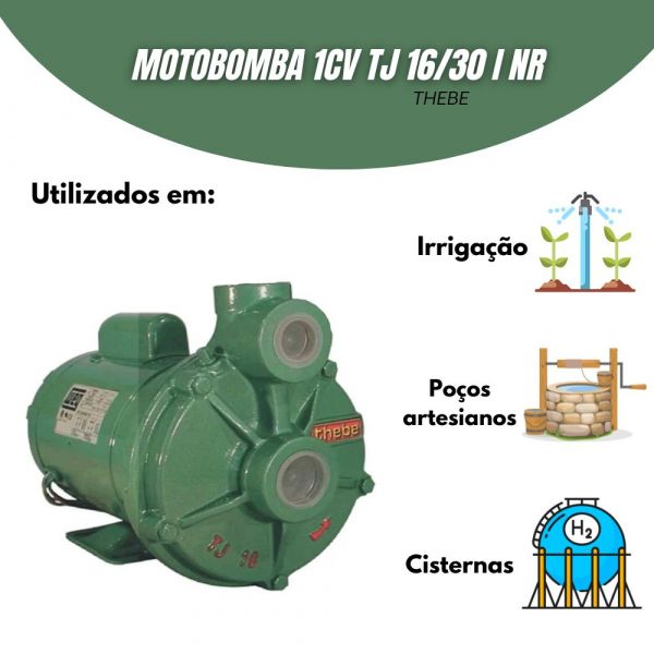 Motobomba 1CV TJ 16/30 I NR 220V M Weg Thebe