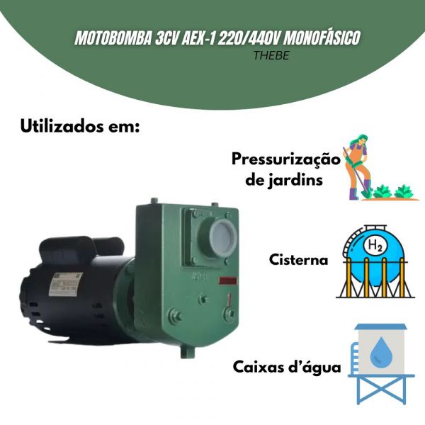 Motobomba 3cv AEX-1 220/440V Monofásico IP55 Gaxeta MT Thebe