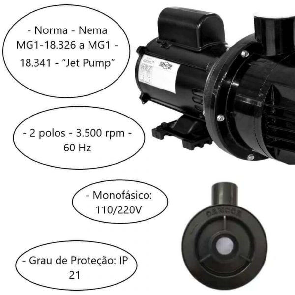 Motobomba Pratika PF-17W 1,0 CV 127/220V Dancor