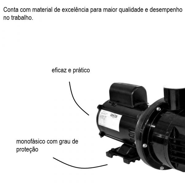 Motobomba Pratika PF-17W 1/3 CV 127/220/254V Dancor