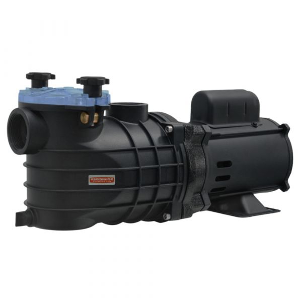 Motobomba 1/3CV 127/220-254V EKO para Piscina Schneider