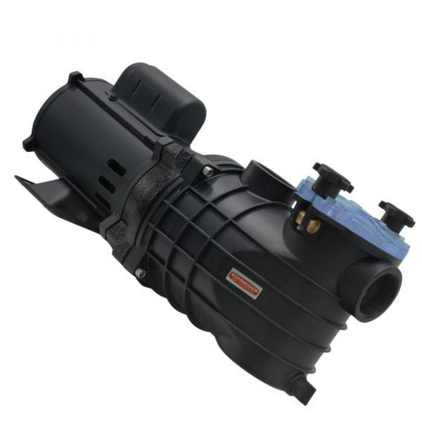 Motobomba 1/3CV 127/220-254V EKO para Piscina Schneider