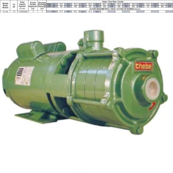 Motobomba 1,5cv P-11/4 NR 220/440V M IP 55 Metros Thebe