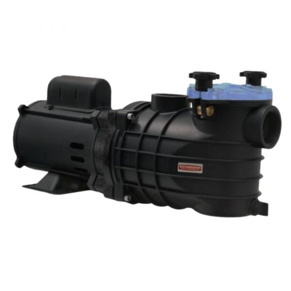 Motobomba 1CV 110/220-254V para Pisicina EKO Schneider