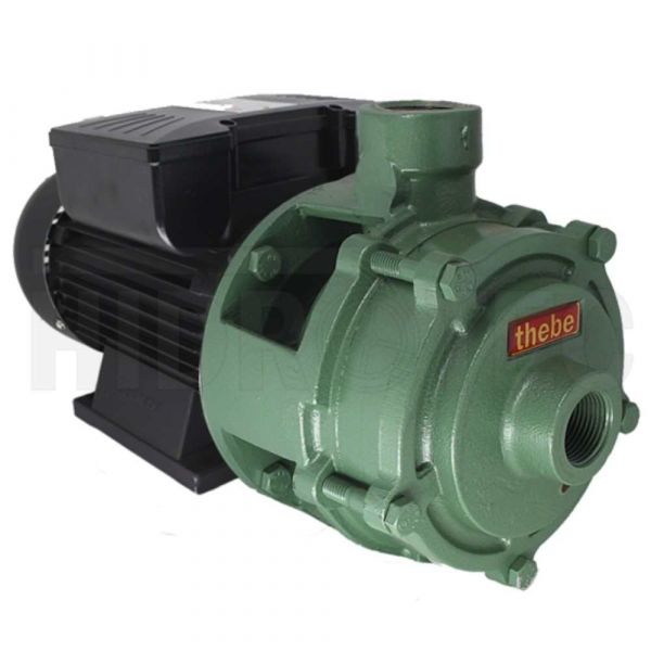 Motobomba 1CV P-11/2 NR 220V Monofásica Thebe