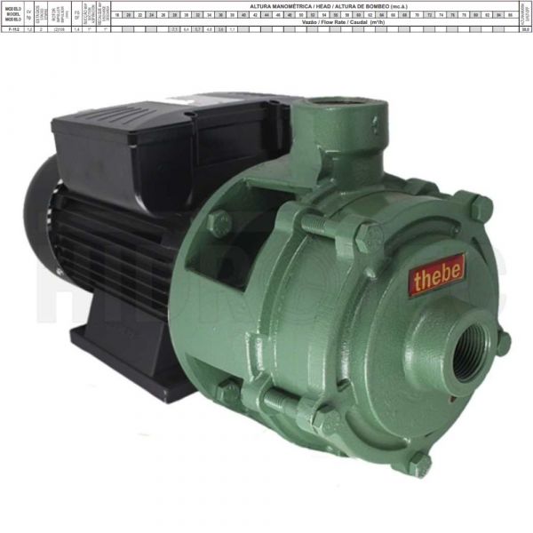 Motobomba 1CV P-11/2 NR 220V Monofásica Thebe