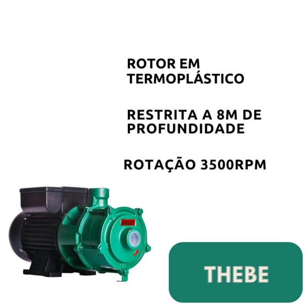 Motobomba 2cv P-11/3 Nr 220/440V Monofásico Thebe