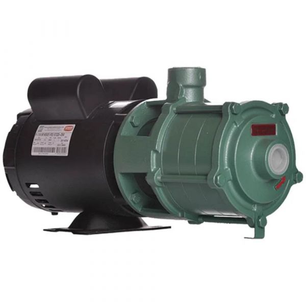 Motobomba 2Cv P-11/4 Nr 220/440V Monofásico Weg Thebe