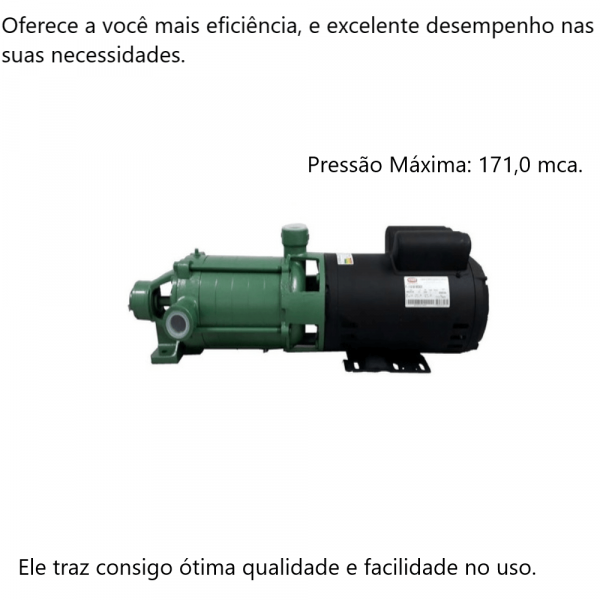 Motobomba 3CV P-11/5 220/440V Monofásica Weg Thebe 