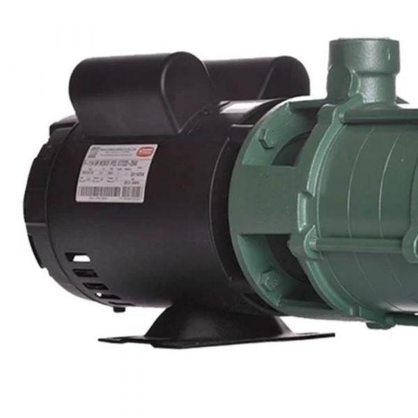 Motobomba P-11/4 AL 3,0 CV 220/440V Monofásica Thebe 