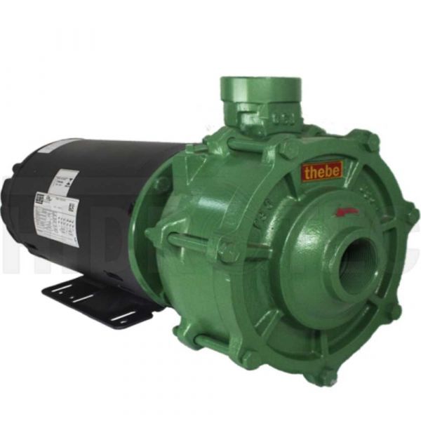 Motobomba 3cv P-15/2 F 220/440 Monofásico Thebe