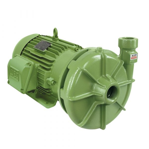 Motobomba 5CV BC-22 R 1B 220/380/440/760V Trifásico Schneider