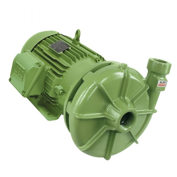 Motobomba 5CV BC-22 R 1B 220/380/440/760V Trifásico Schneider